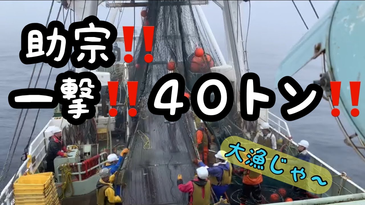 一撃‼️助宗４０トン‼️網揚げ動画①[ノーカット]
