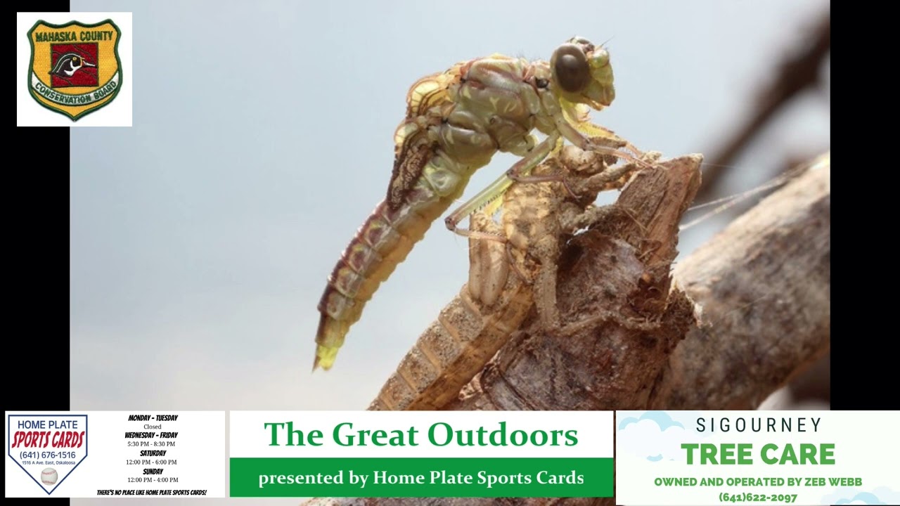 Mahaska County Conservation: The Great Outdoors