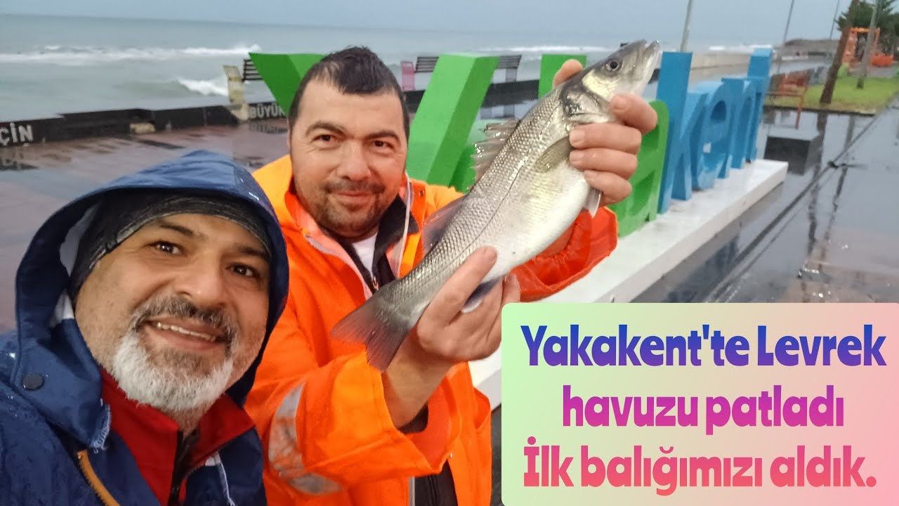 Yakakent'te Levrek havuzu patladı. İlk balığımızı aldık. 