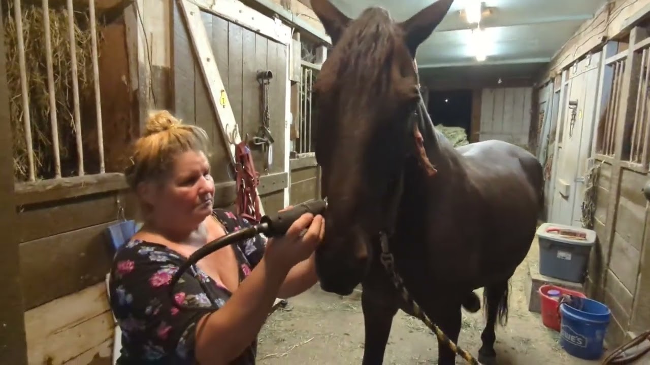 son clipping