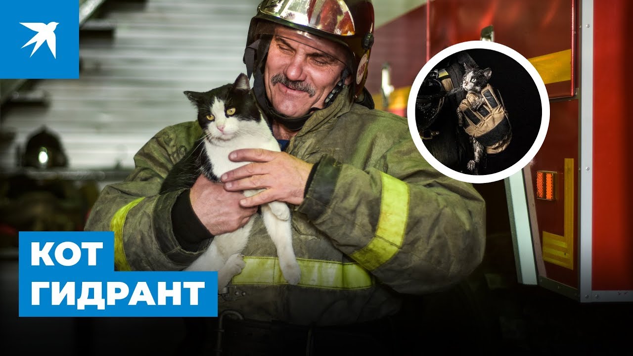 Спасенный из огня кот Гидрант стал пожарным