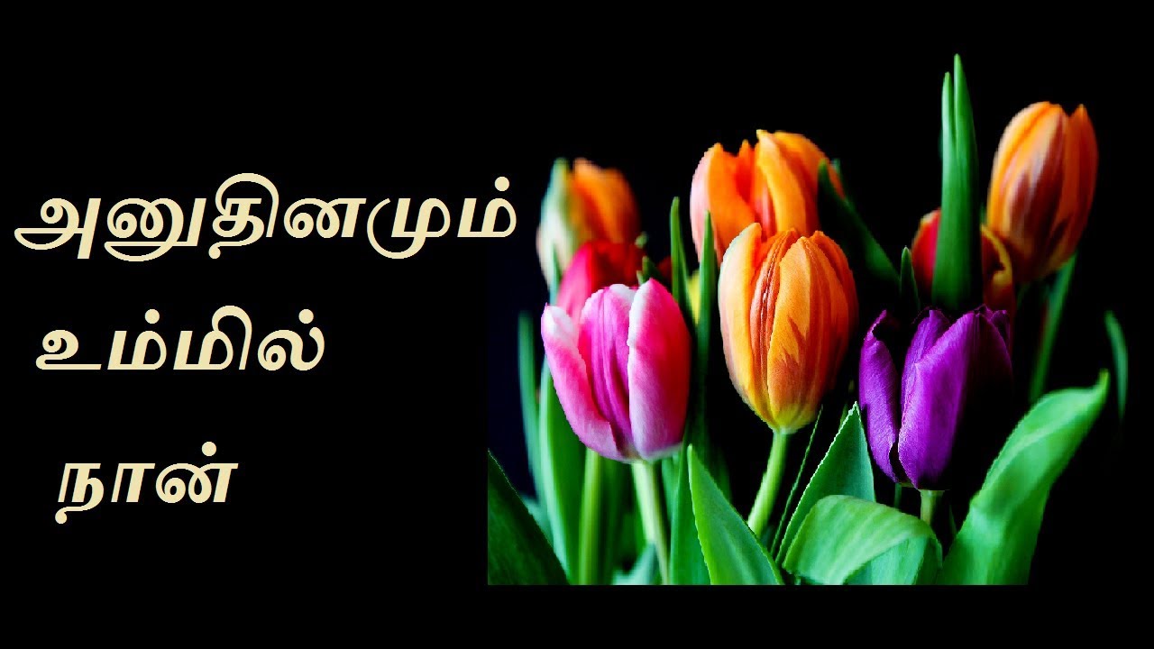 Anu Thinamum Ummil Naan -Rev Dr Ezekiel George