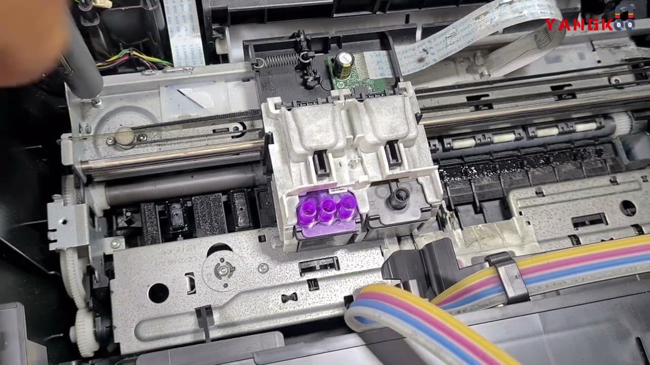 Cara Mengatasi Printer Hp Ink Tank 315 Tidak Bisa Narik Kertas | Tips & Trick