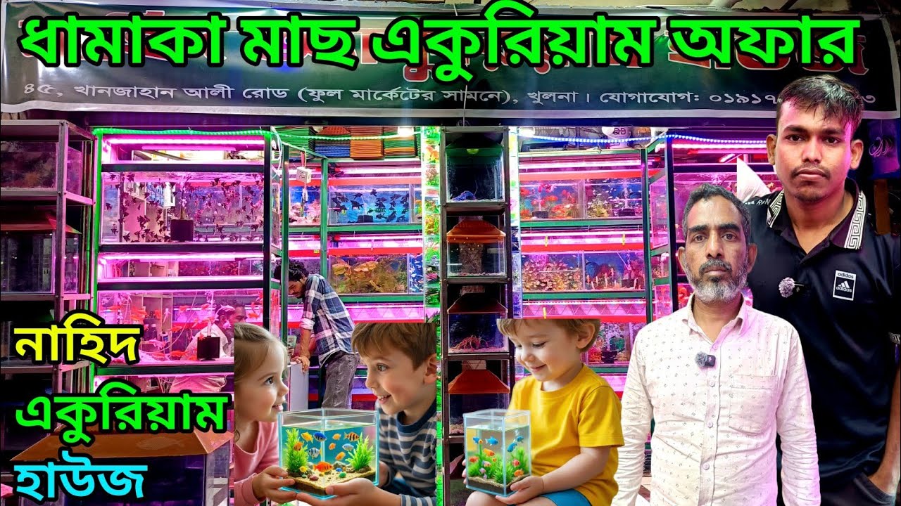 নাহিদ aquarium fish shop in Khulna রঙিন মাছের দোকান aquarium fish price ni Bangladesh aquarium fish 