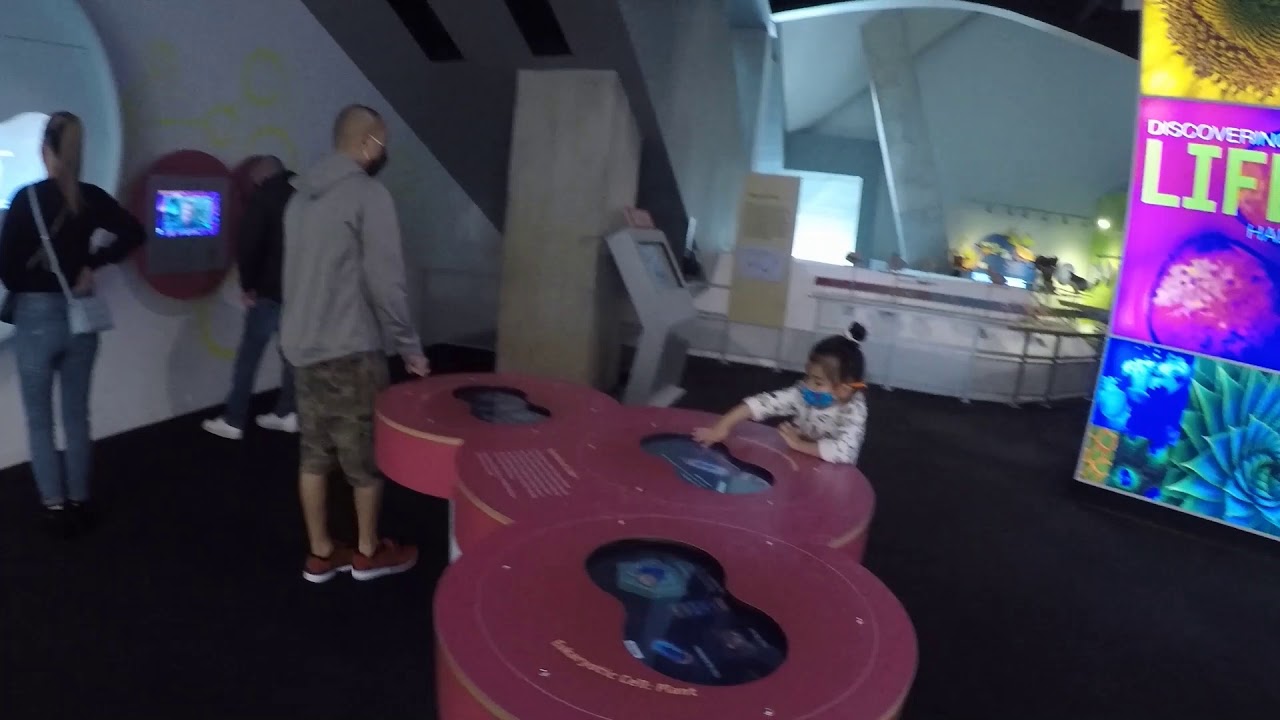 Family Sunday Funday during Covid-19 at Perot Museum of Nature and Science Part 2 in Dallas, TX