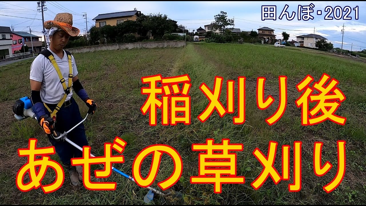 稲刈り後のあぜ草刈り　田んぼ・2021  20200919