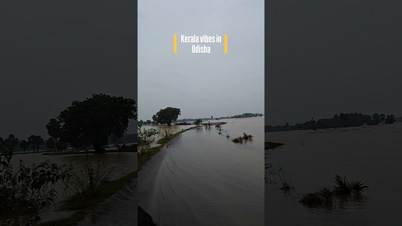 FLOOD IN ODISHA 🌊‼️#monsoon #flood #trending