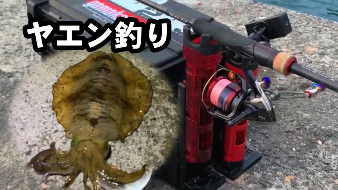 【ヤエン釣り】ドキドキが止まらない！大型アオリイカを狙う。○○も釣れる！？後編