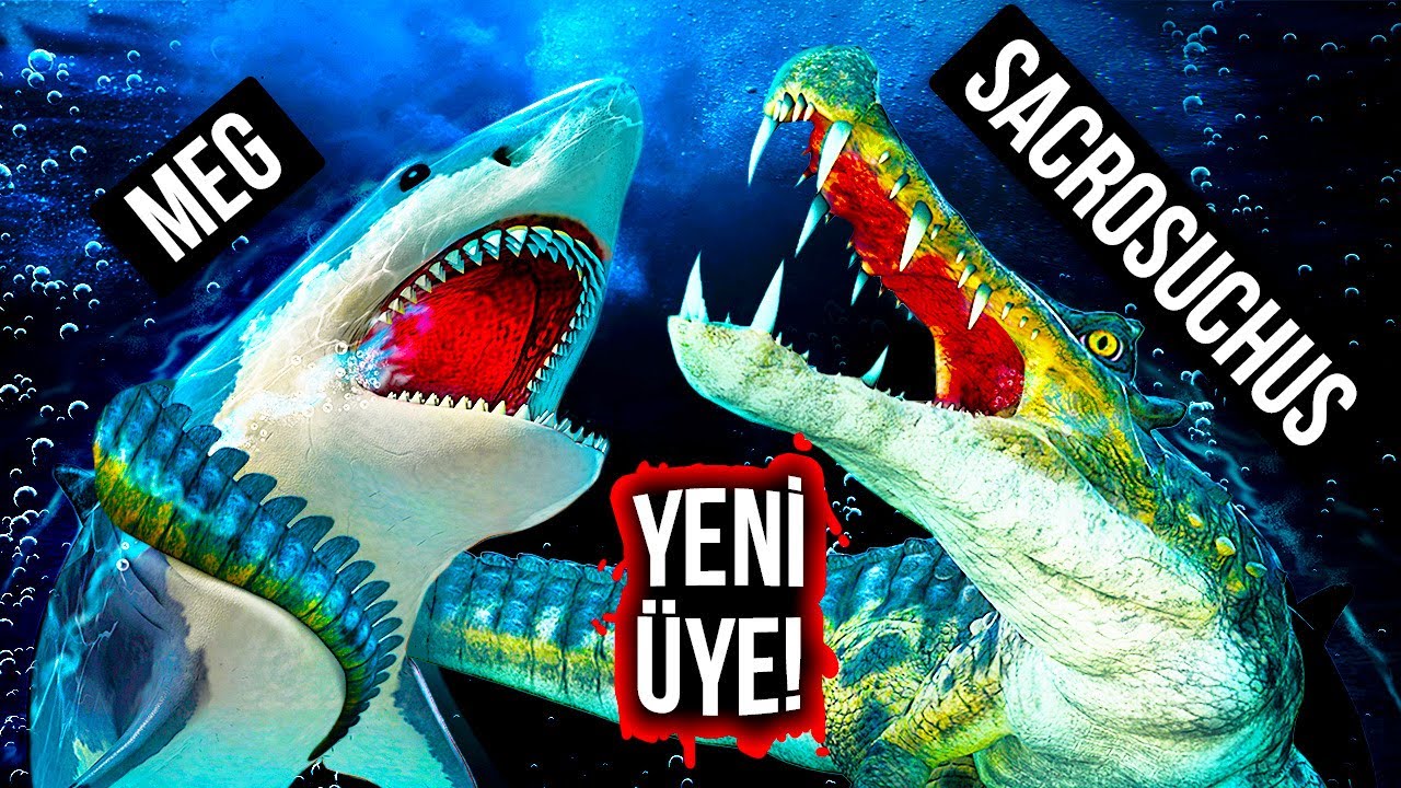 Megalodon, Dev Timsah Dinozora Karşı: Kazanan Kim Olacak?