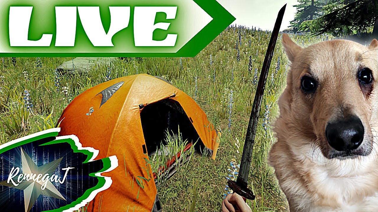 🔴 [ THE FOREST ] - Survival na pełnej!
