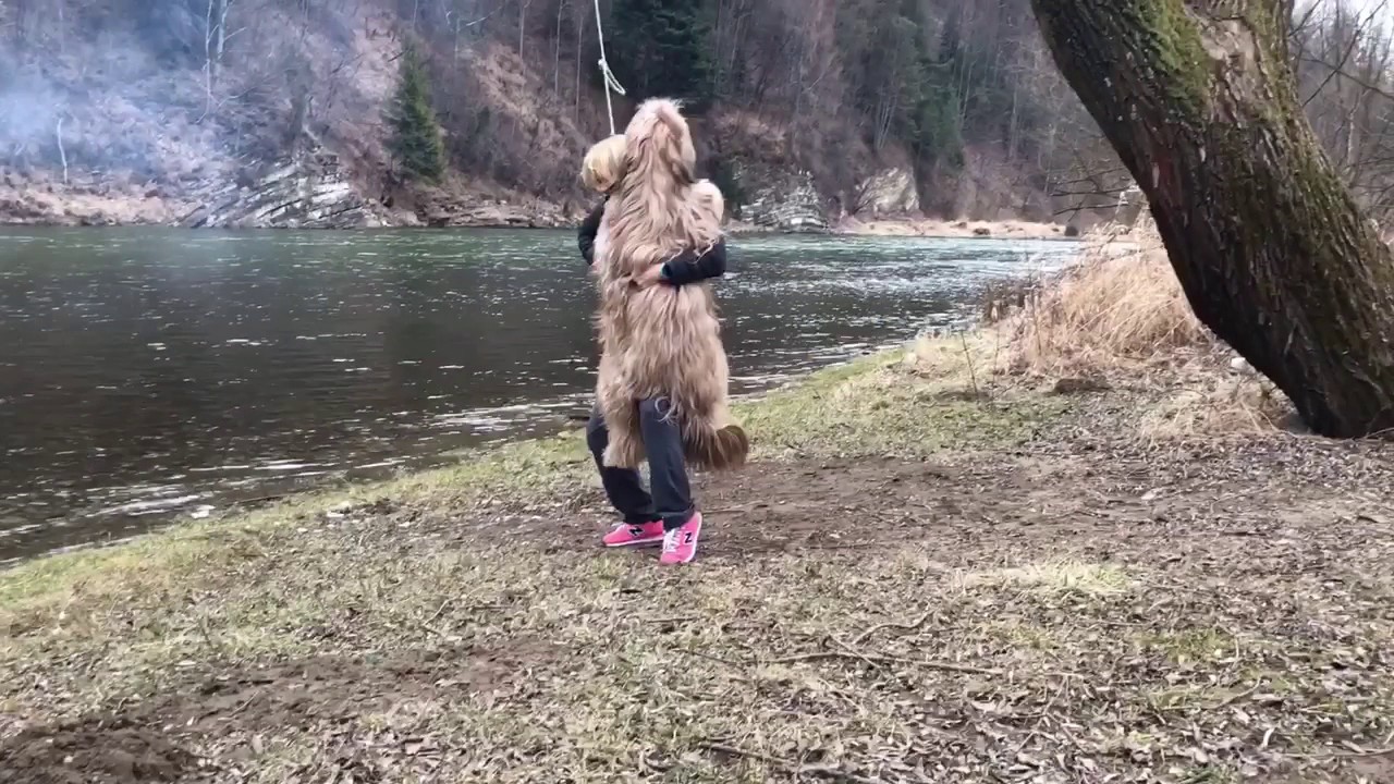 Luśka na huśtawce - Briard on a swing