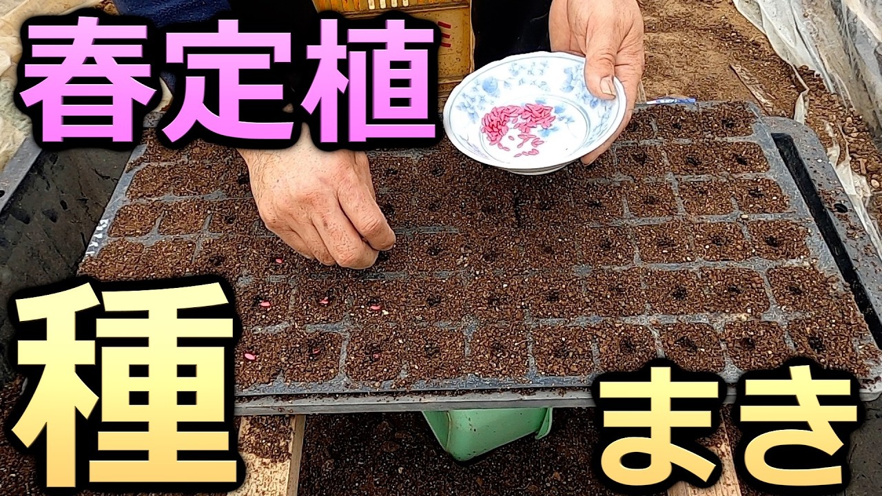 【播種】春に植える野菜たち -We sow vegetable seeds.-
