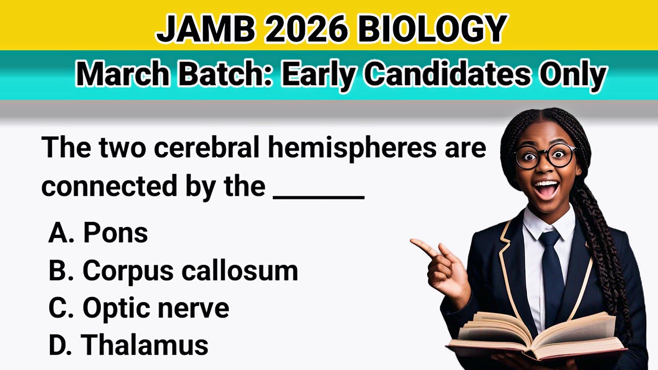 Nervous System Questions and Answers | Biology MCQs | Science MCQs | Science GK