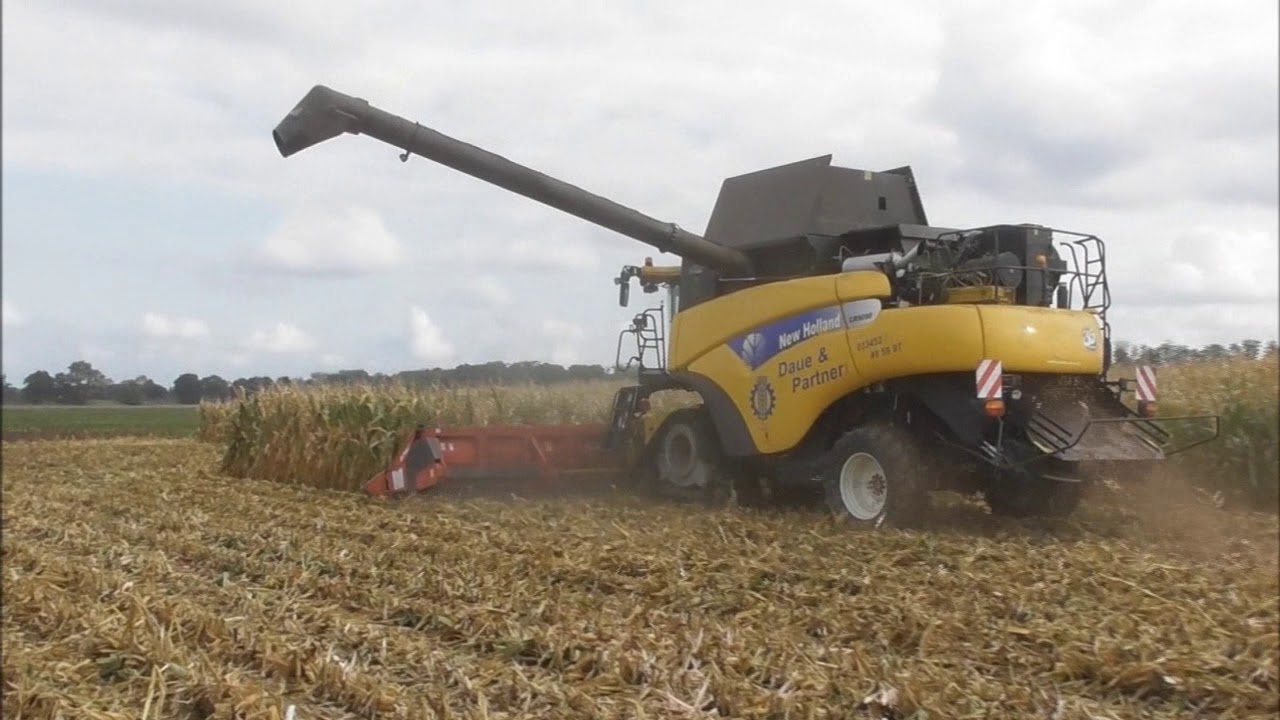 Mais dreschen 2019 New Holland CR 9090 mit Olimac Drago Daue & Partner GmbH Neulewin