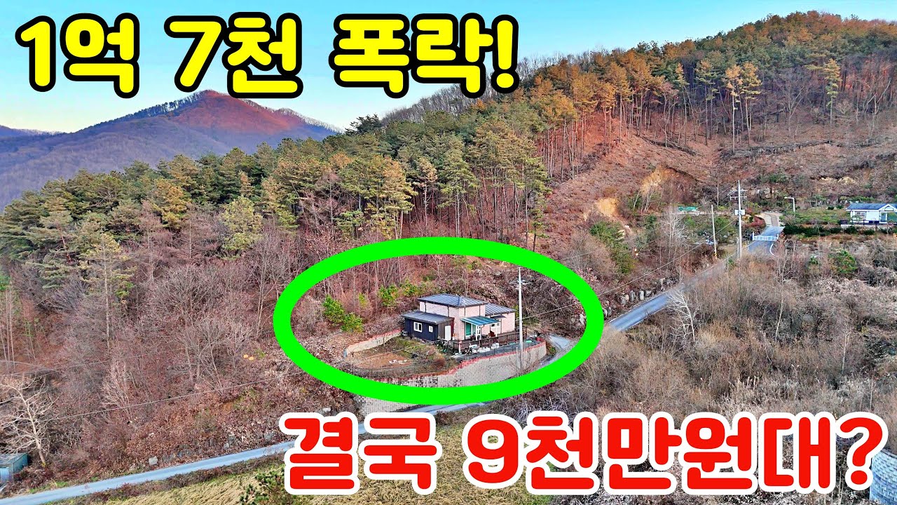 1억 7천이 그냥 날아갔습니다. 9천만원대에 나온 산속 아늑한 집