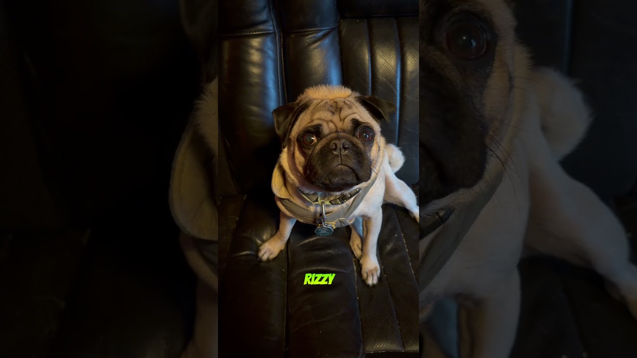“I ❤️ u” - Edgar 