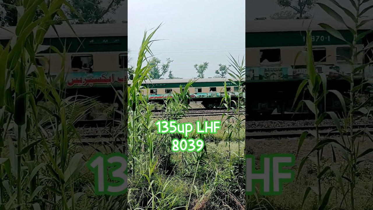 135up LHF with8039