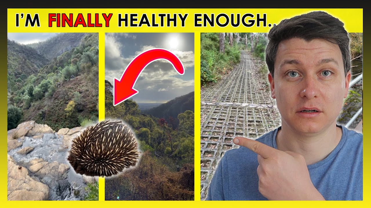 It's Taken YEARS But I Can HIKE... Join Me On This Part of My Health Recovery Journey...