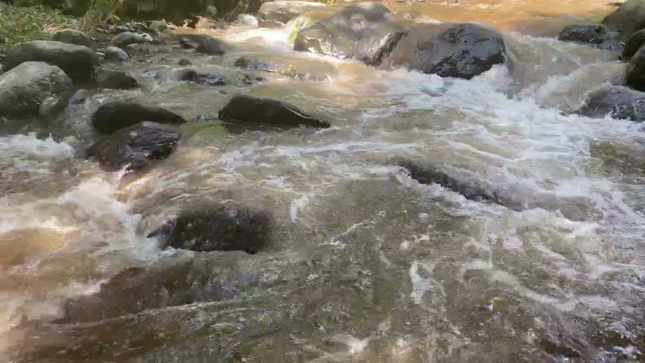 Tidur Nyenyak dengan Suara Sungai ASMR 16 #sungai #relaksasi #asmr 
