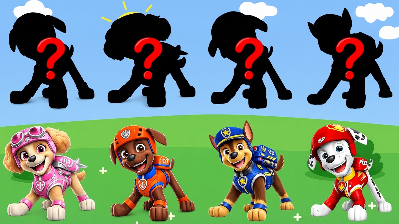 Paw Patrol and Friends Learn Kids Useful Stories for Kids Cartoon Paw Patrol (Special Episode) PART2