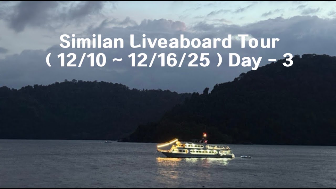 Similan Liveaboard Tour ( 12/10 ~ 12/16/25 ) Day - 3 바라쿠타, 돌고래, 랍스터 🦞, 문어 🐙 등등