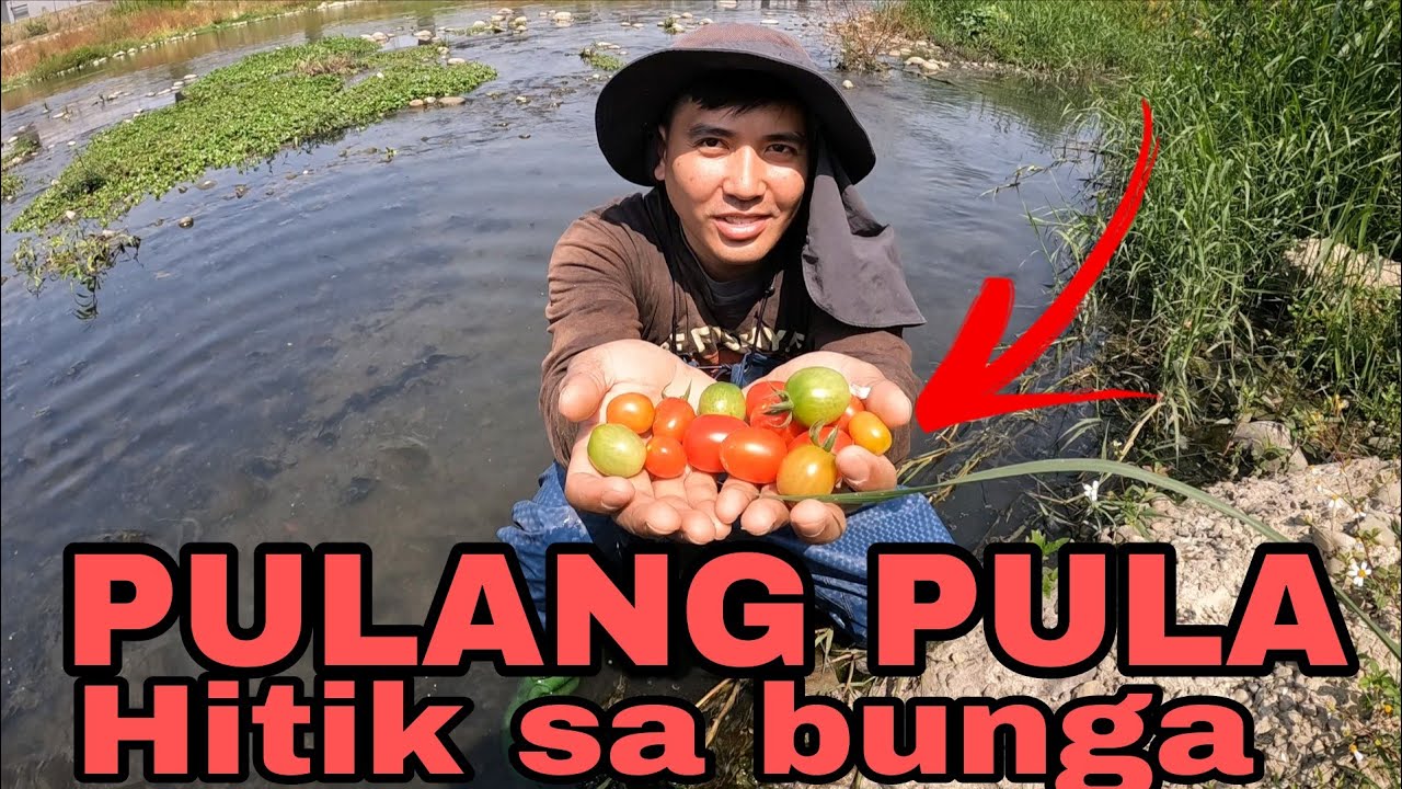Matinding pagsubok ang pinagdaanan ko makuha lang sila!!!