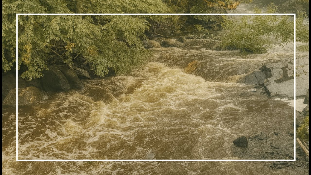 Peaceful Woodland Waterfall 🐦 | Flowing Water & Birdsong for Relaxation - 4K UHD - No loop - Oiseau