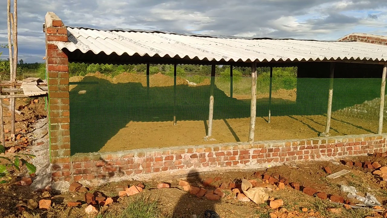 low cost broiler shed for 500 chicken
