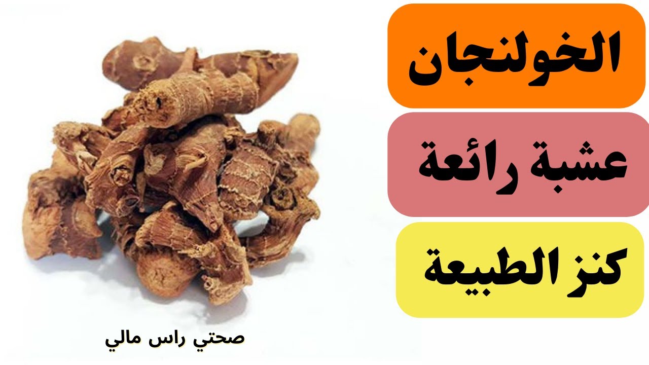 الخولنجان و فوائده الطبية الصحية الرائعة عشبة لابد ان تتناولها كل يوم