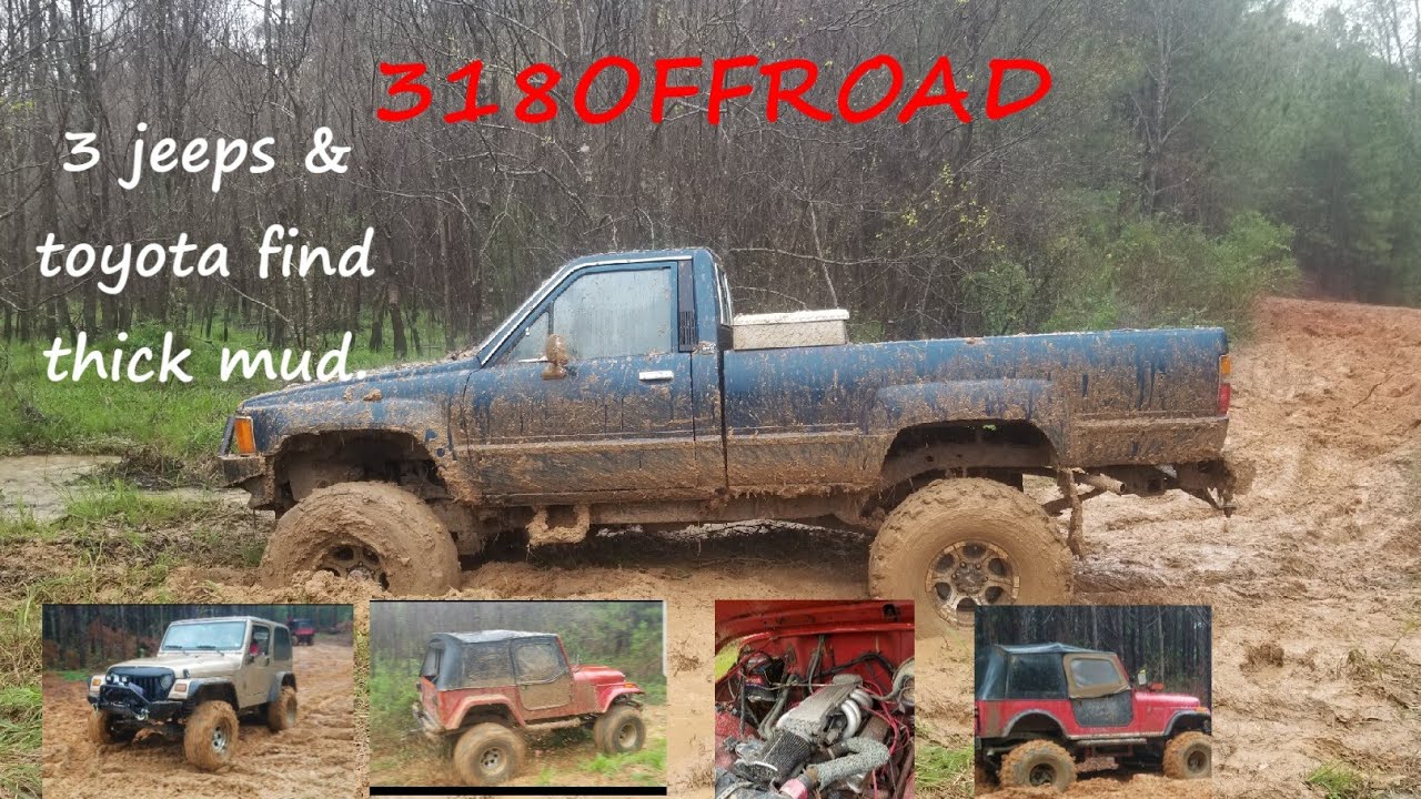 3 jeeps & a Toyota in the mud!
