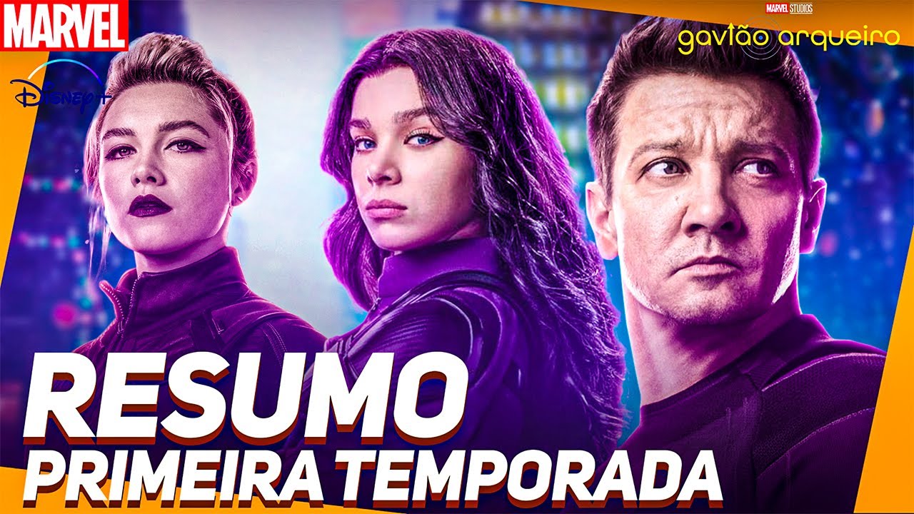 RESUMO DE 