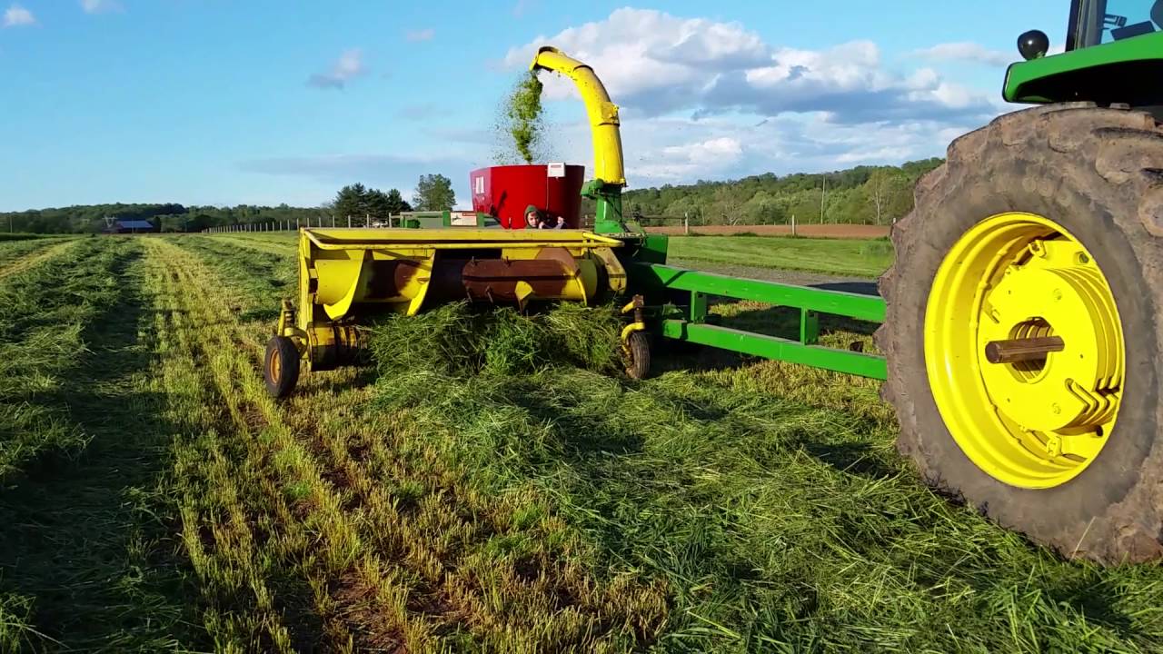 Chopping wheatlage 2016 with our John Deere 4250 powershift and the 3970 pull type harvester