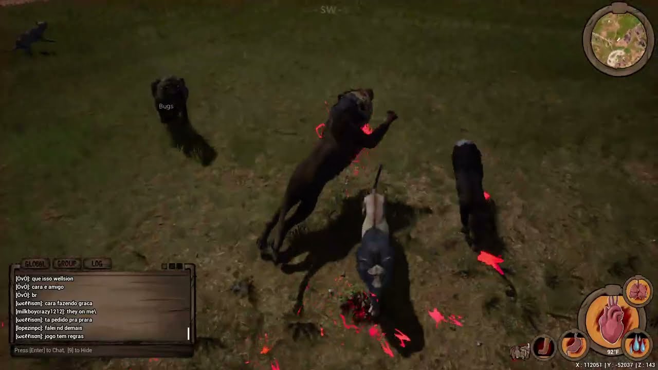 2 African Lions Vs 3 Barbary Lions