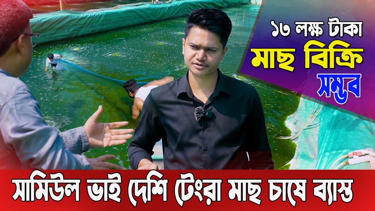 সামিউল ভাই বায়োফ্লক পদ্ধতিতে দেশি টেংরা মাছ  চাষে ব্যাস্ত। সিরাজগঞ্জ জেলায় শিক্ষিত মাছ চাষি
