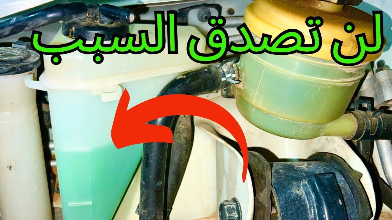 الفيديو الدي يبحث عنه الجميع