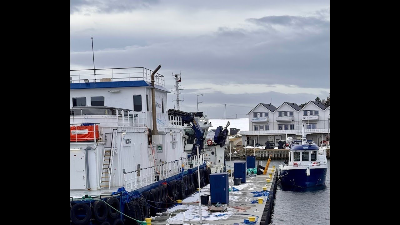 Eltosea marinaskap hos Kleiva Fiskefarm