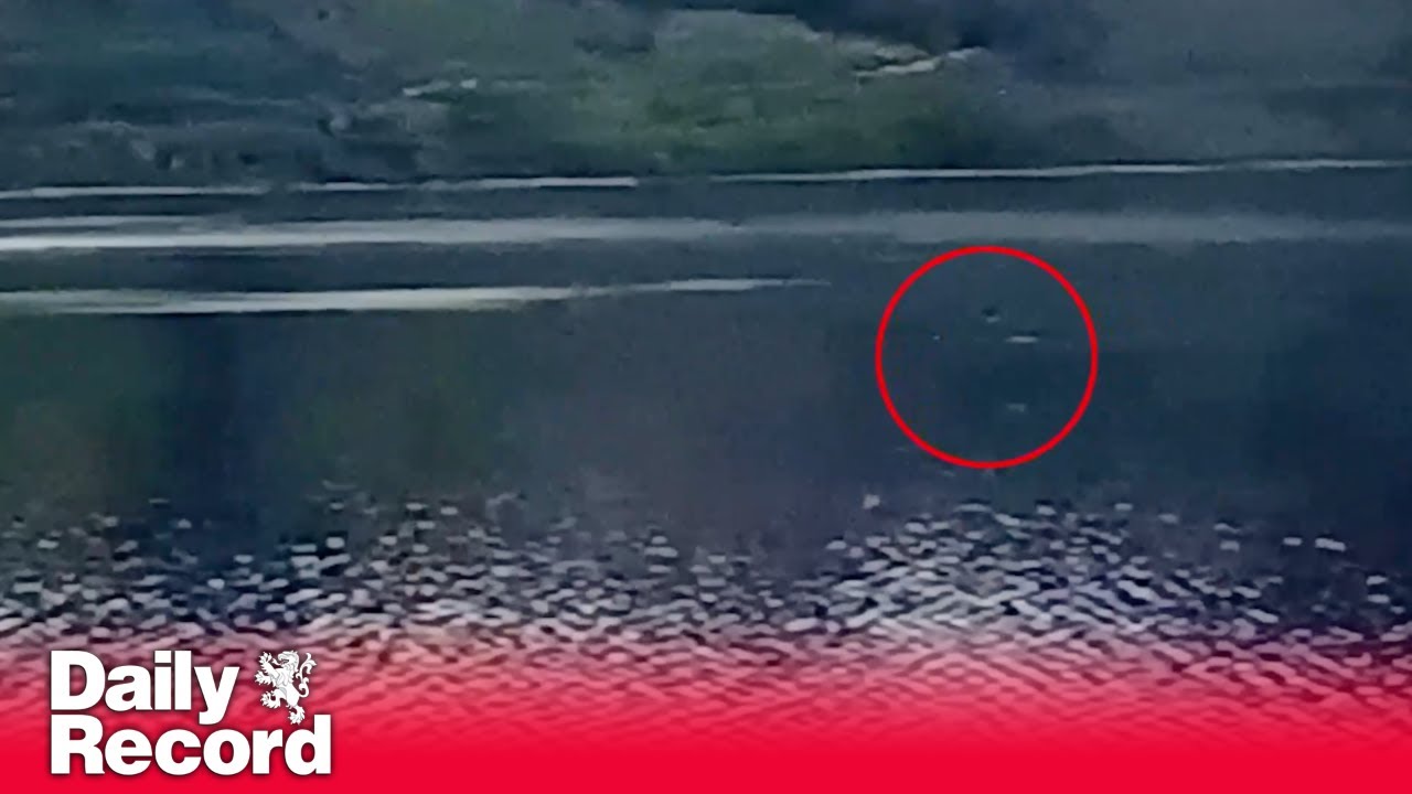 Loch Ness Monster video sighting as 'neck-like object' spotted on surface of water