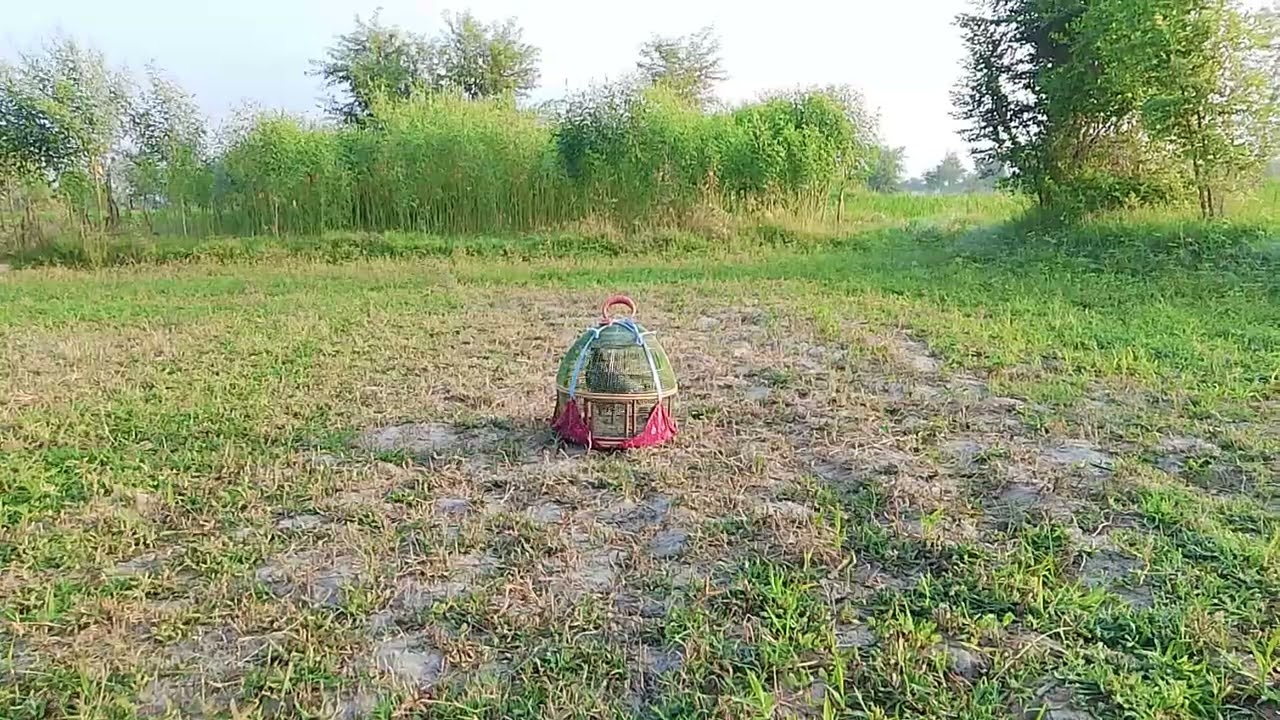 12 9 2025 subha subha kala tatter ke awiz bhot khobsorat village vilog village Shok  #birdsuk  