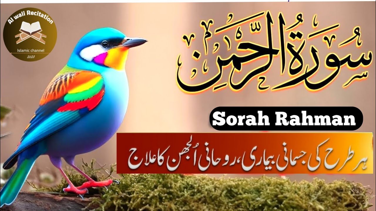 Surah Ar-Rahman | Healing & Relaxing Recitation | alwalirecitation 
