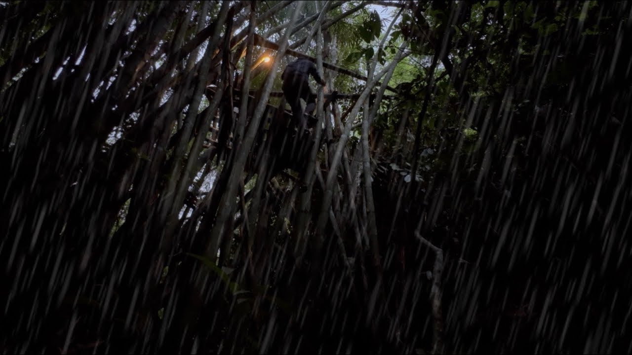 นอนห้างในป่าลึก! โดนฝนถล่มลงหนักเกือบไม่รอด!ค่ำคืนสุดหนาวเย็น