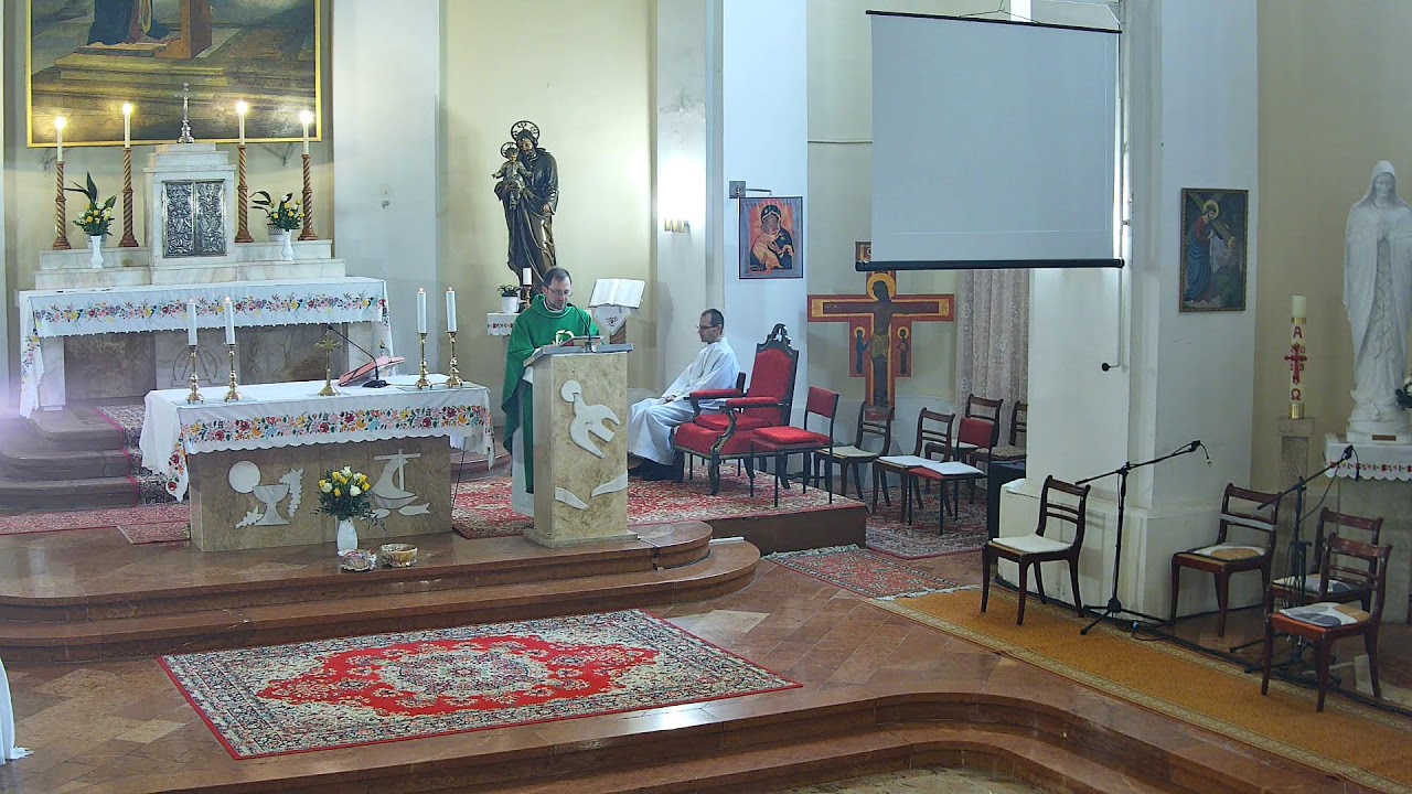 Mise 2026. február 8. - Tavi TV