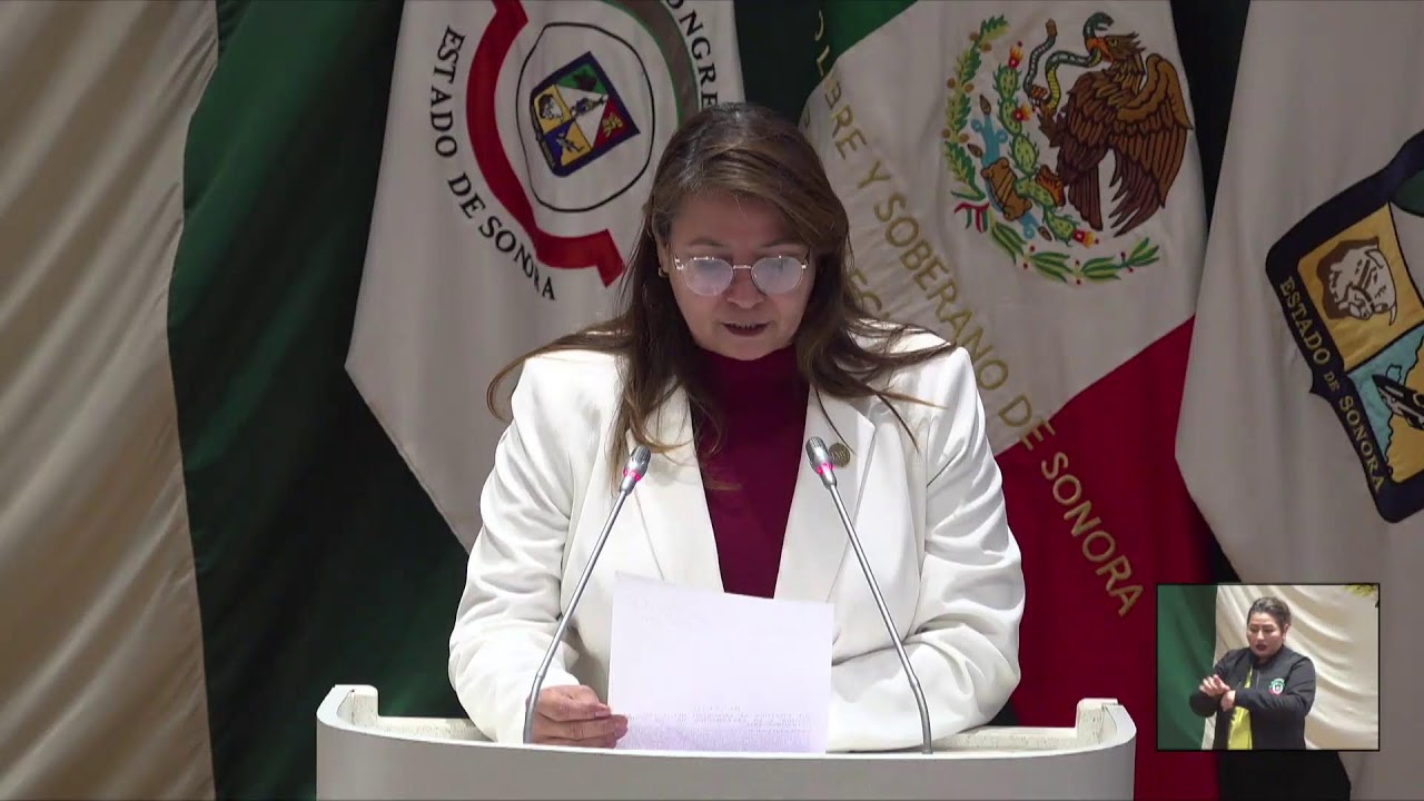 26 de Enero 2026 - Sesión de la Diputación Permanente