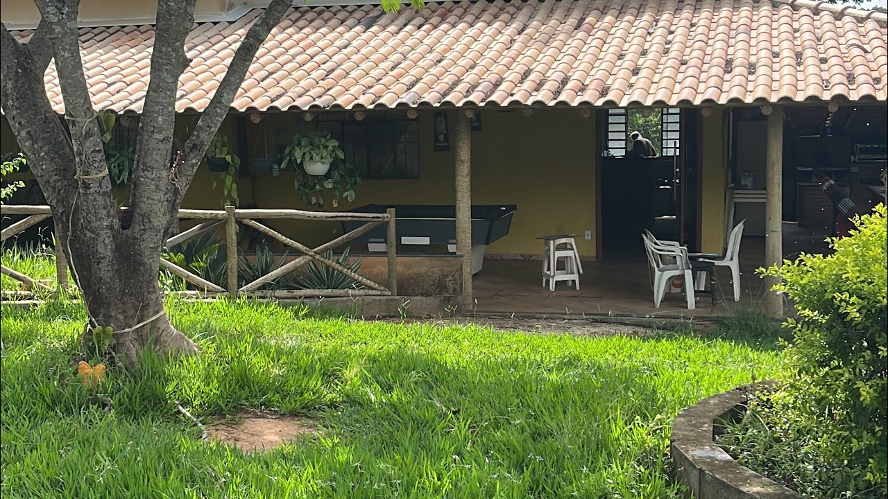 Fiz replante de perpétua 