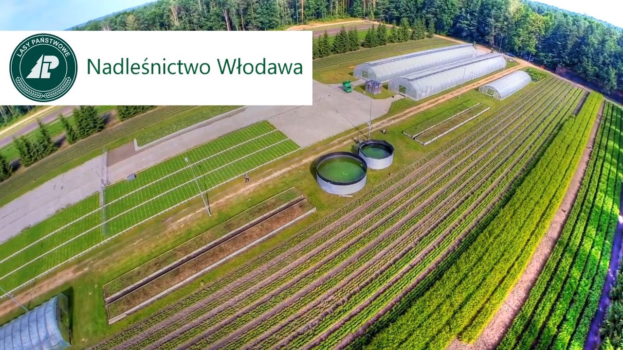 Lasy Państwowe: Nadleśnictwo Włodawa 2014