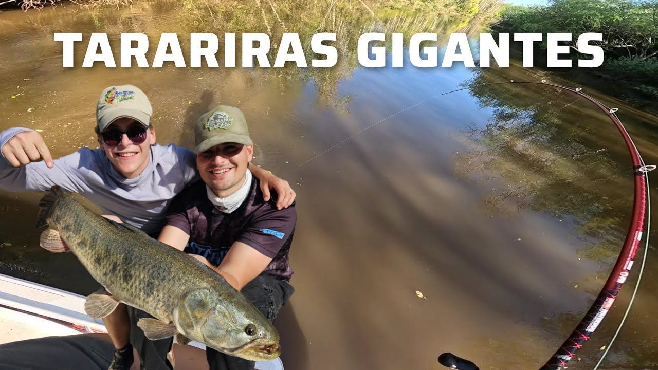 Acá estan las TARARIRAS MAS GRANDES‼️ | Pesca en el rio de la plata 🎣