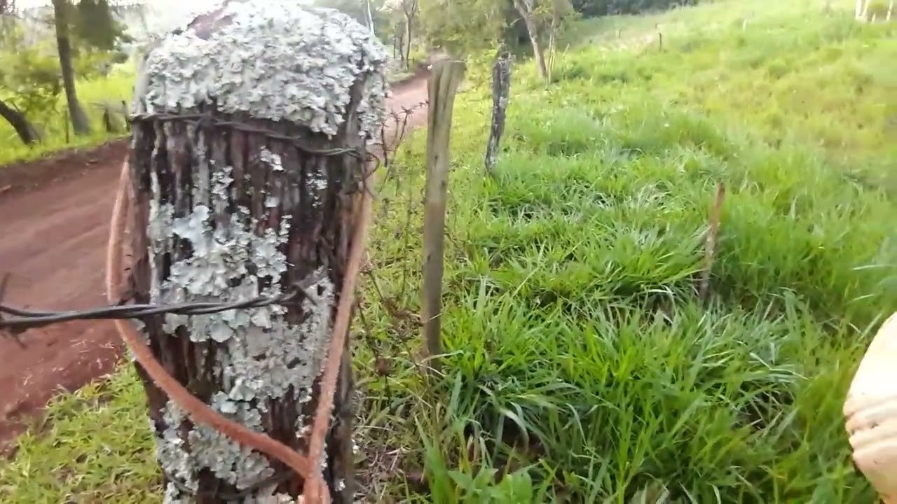 qual melhor veneno para matar carrapatos na pastagem!