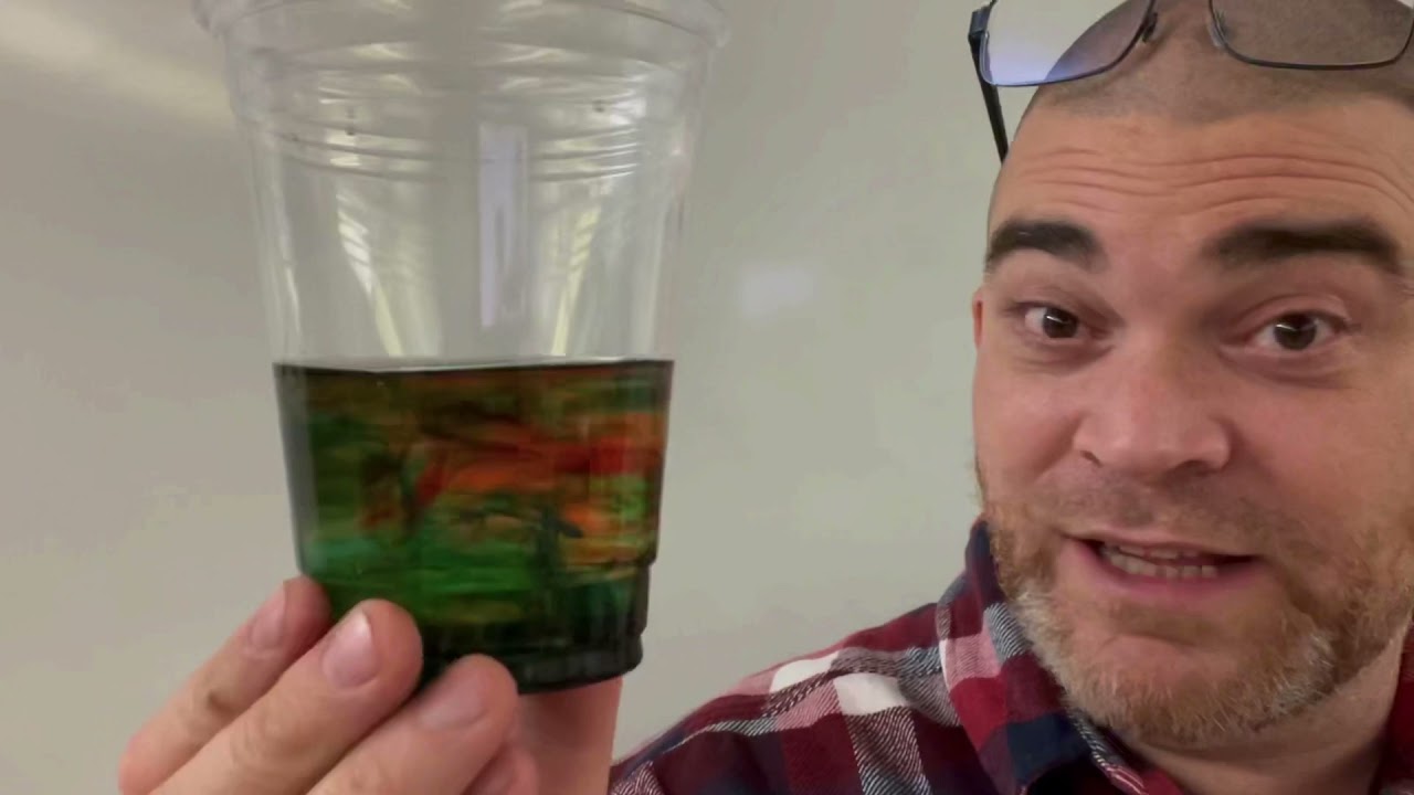 First Reconciliation 3 - Why go to Reconciliation?