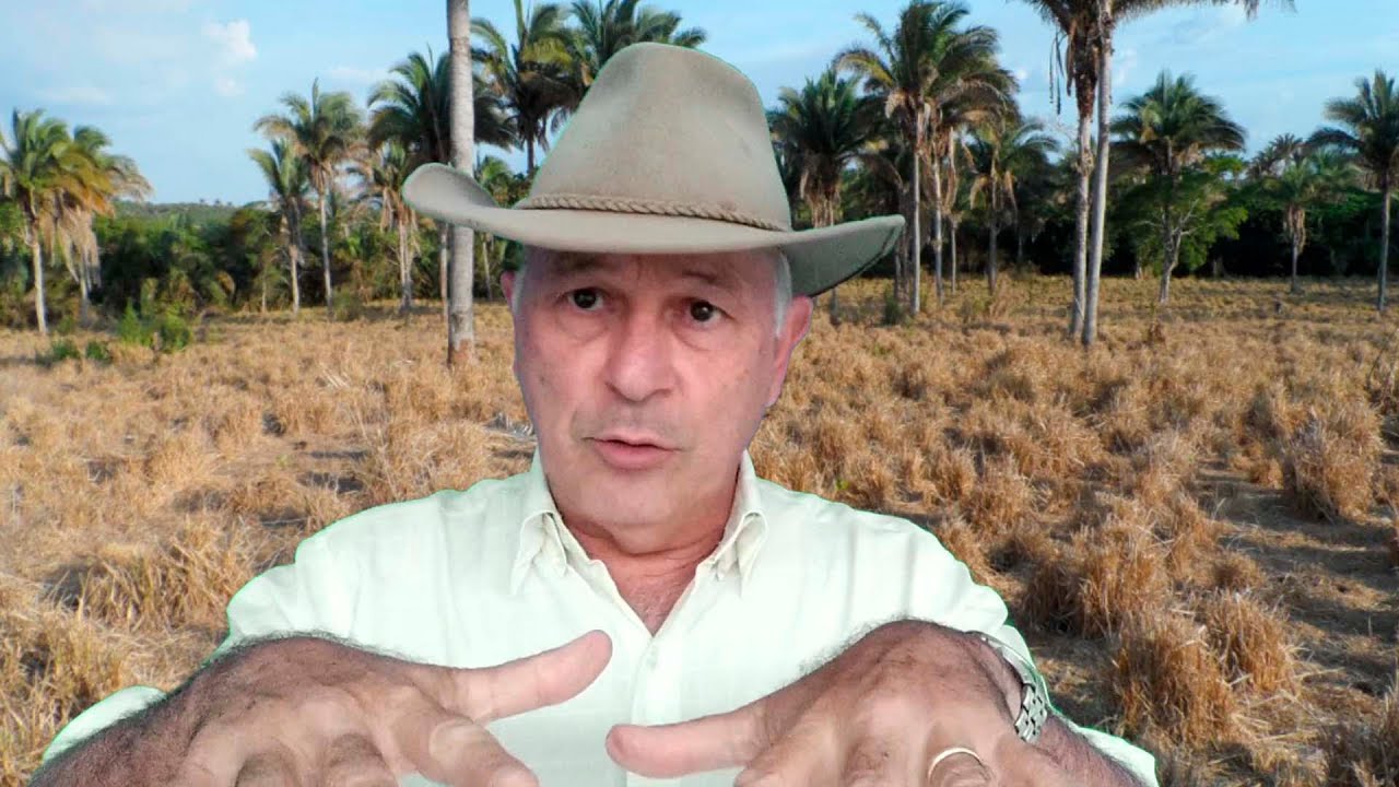 Meu pasto na seca, o que devo fazer