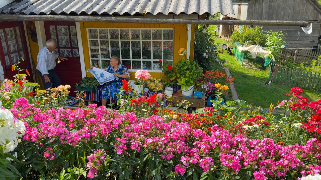 Old Couple&rsquo;s Hard but Happy Village Life 🏡 Grandma Maria Cooks & Harvests in the Carpathians