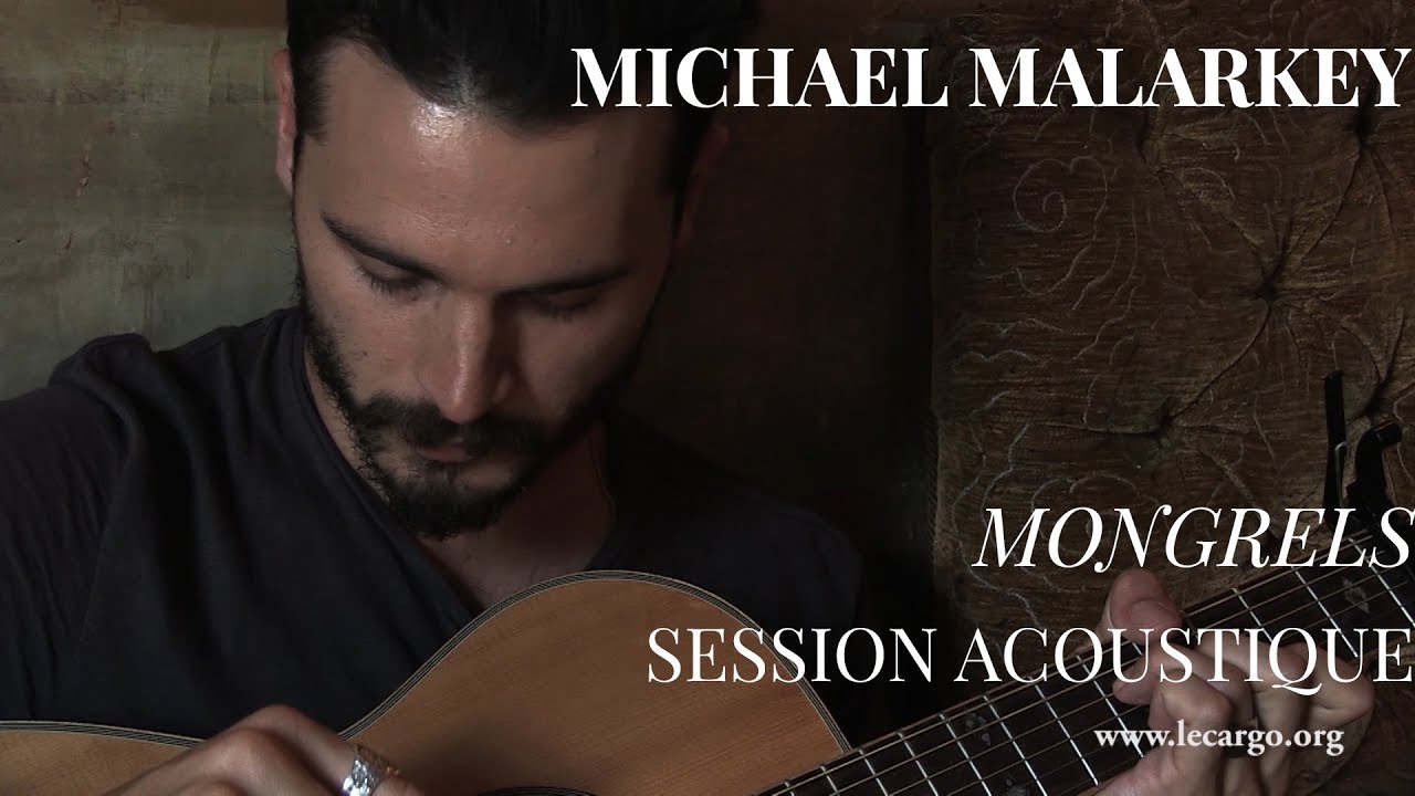 #895 Michael Malarkey - Mongrels (Session Acoustique)